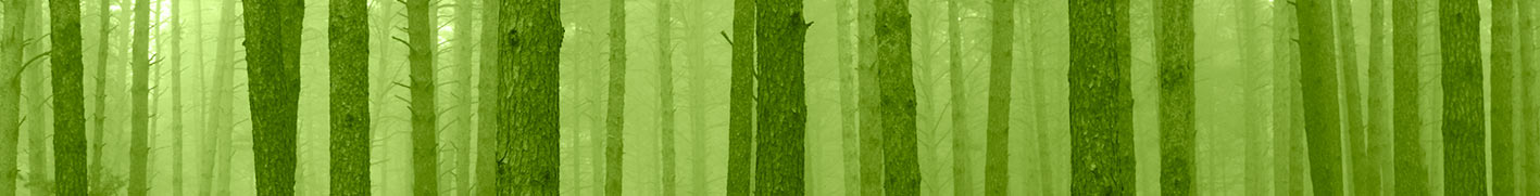 &nbsp;